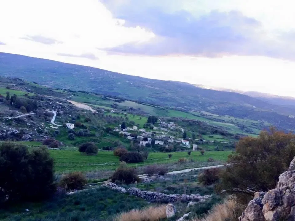 Tremithousa in photographs