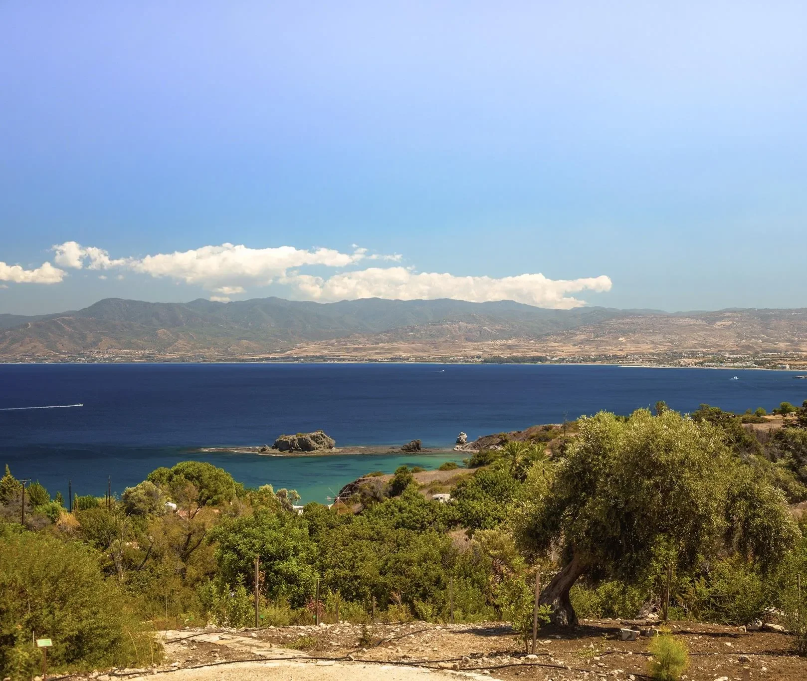 Beachfront Villas by the Akamas Peninsula in Polis